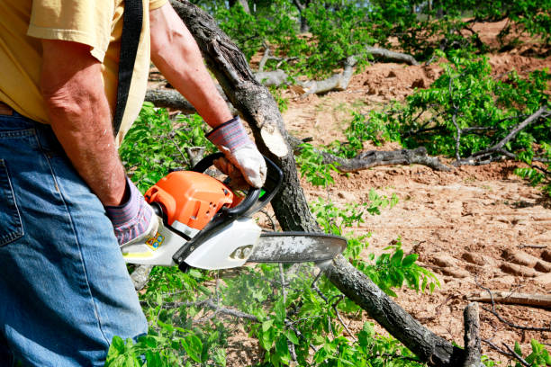 Lawn Irrigation Installation and Maintenance in Brush Prairie, WA